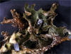Macrolichen - Lobaria pulmonaria